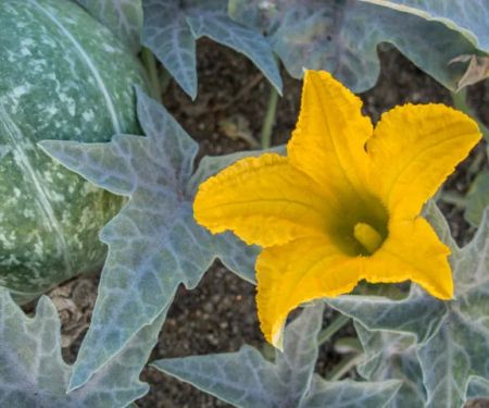 Stagecoach Trails Campground & RV Park