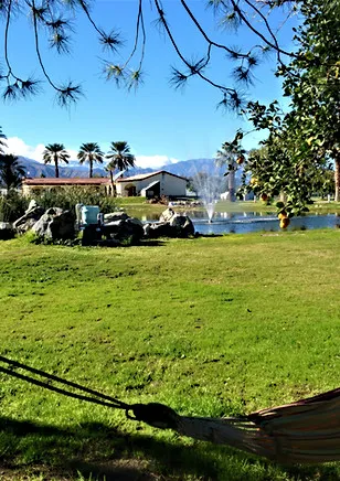 Oasis Palms RV Resort Picture 5