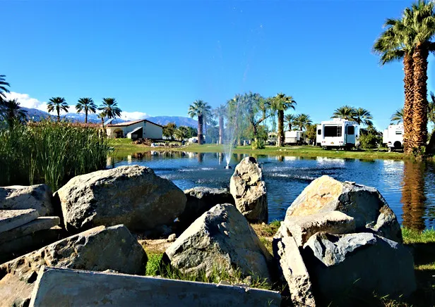 Oasis Palms RV Resort Picture 9