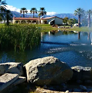 Oasis Palms RV Resort Picture 6