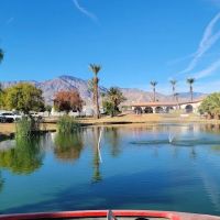 Oasis Palms RV Resort ico