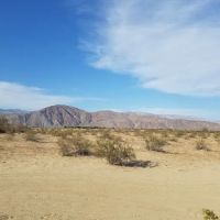 Santa Fe Palms ico