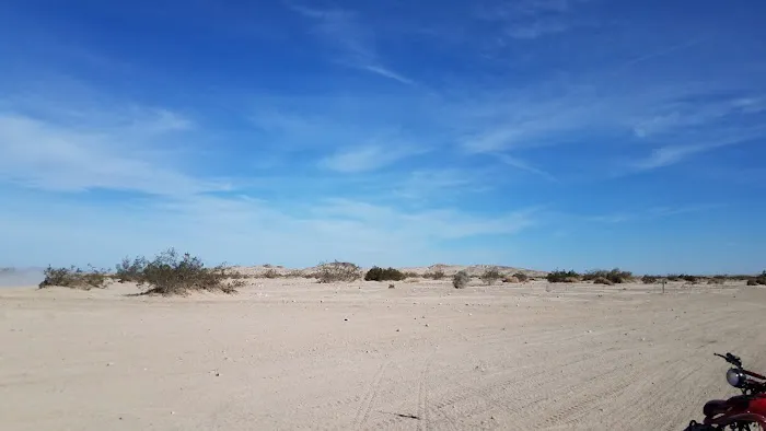 Ocotillo Oasis Mobile Home Park Picture 7