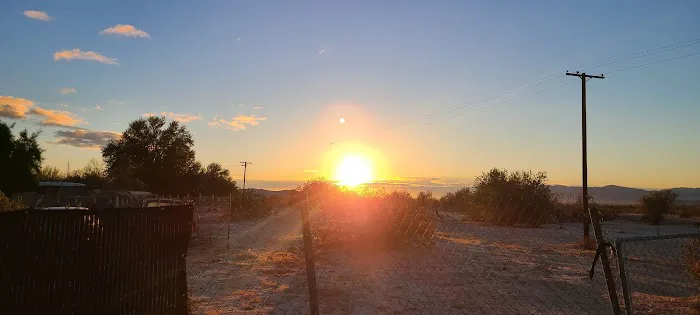 Ocotillo Oasis Mobile Home Park Picture 6