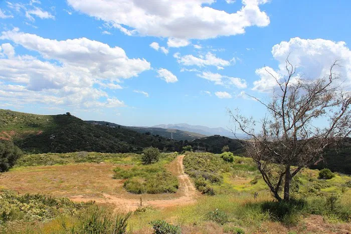 Ramona Oaks RV Park Picture 9