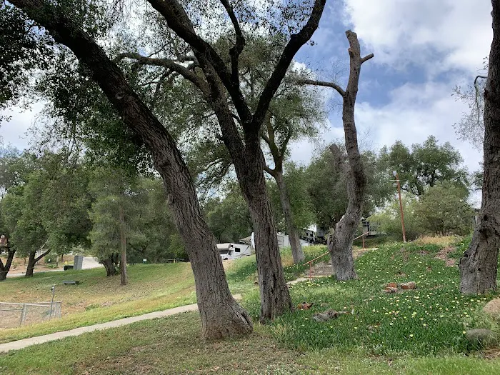 Ramona Oaks RV Park Picture 5