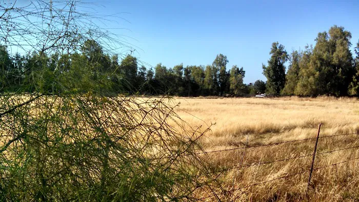 Rancho Ramona Mobile Home Park Picture 2