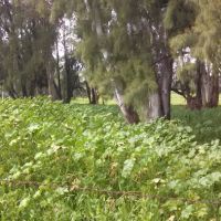 Rancho Ramona Mobile Home Park ico
