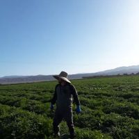 Rancho del Sol Mobilehome & RV Park ico