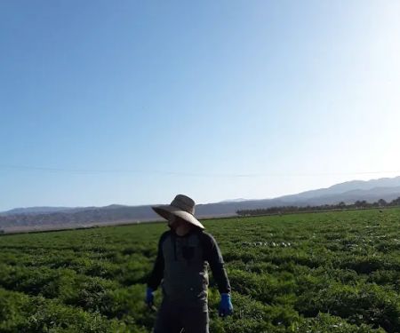 Rancho del Sol Mobilehome & RV Park