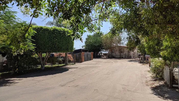 Rancho del Sol Mobilehome & RV Park Picture 8