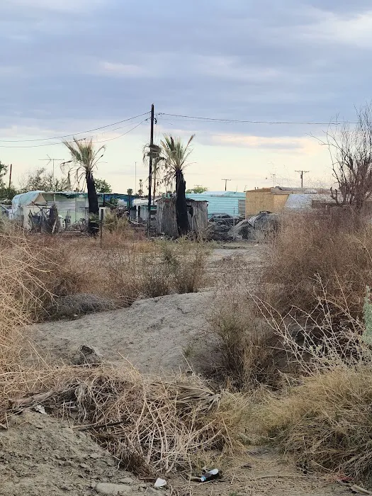 Desert Shores Trailer Park Picture 10