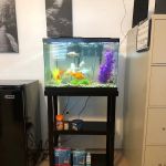 Silver Sands, RV & Camp Resort