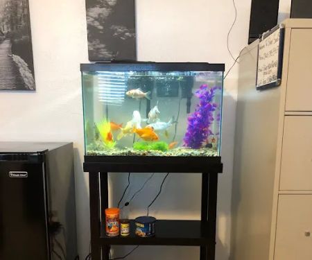 Silver Sands, RV & Camp Resort