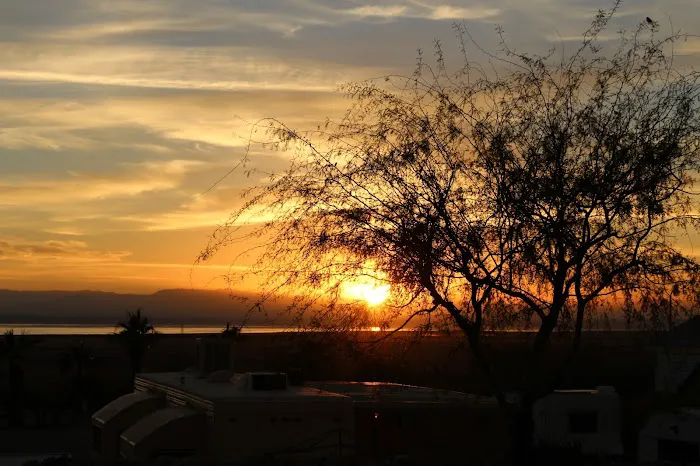 Lark Spa Mobile Home & RV Park Picture 2