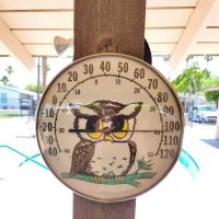 Polynesian Village ico
