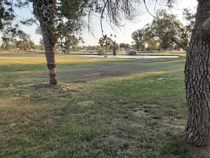 Desert Trails RV Park Picture 3