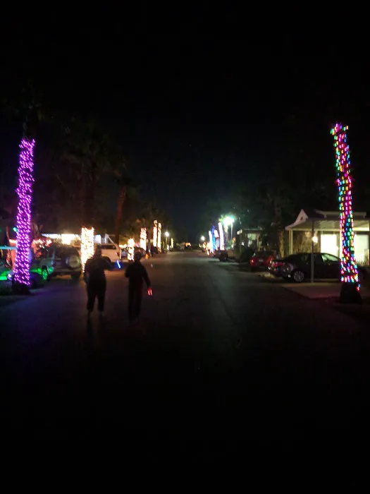 Desert Trails RV Park Picture 9