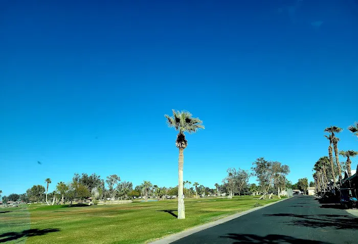 Desert Trails RV Park Picture 4