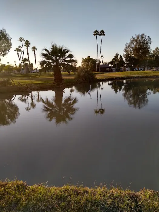 Desert Trails RV Park Picture 10