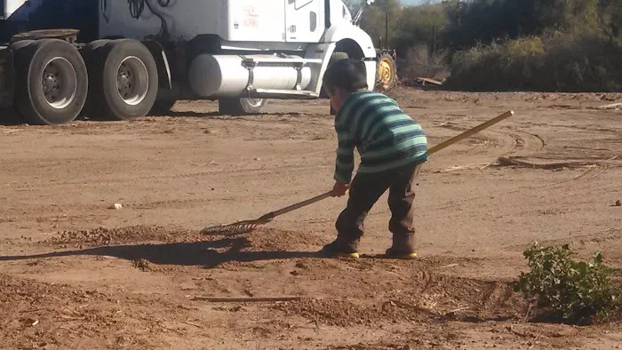 Country Life RV Park Picture 2