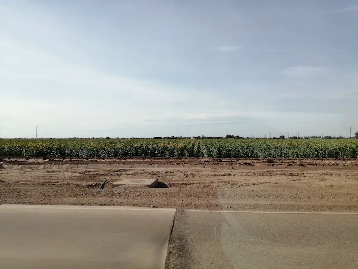 Country Life RV Park Picture 8