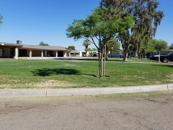 Spanish Palms Picture 4