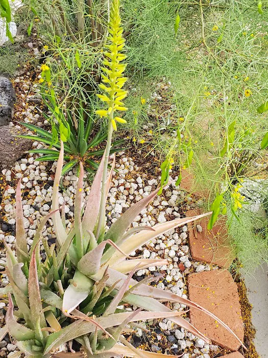 Equity Lifestyle Picture 6