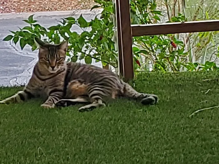 Equity Lifestyle Picture 2