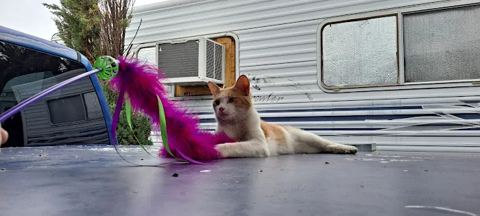 Road Runner RV Park Picture 9