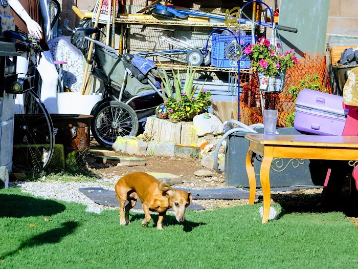 Park Place Picture 10