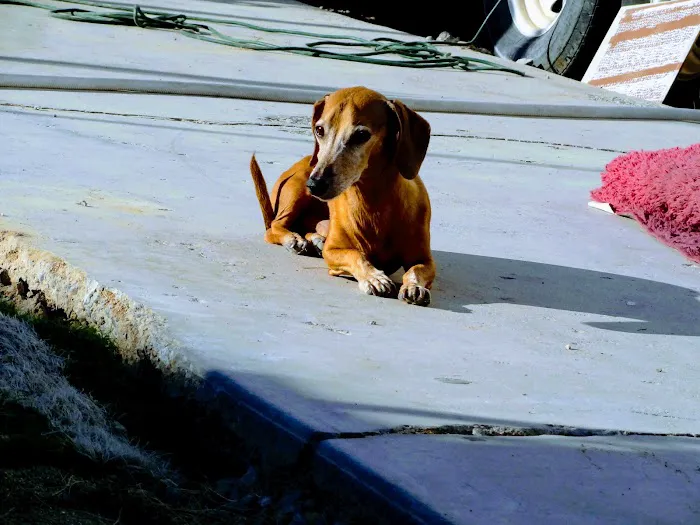 Park Place Picture 8