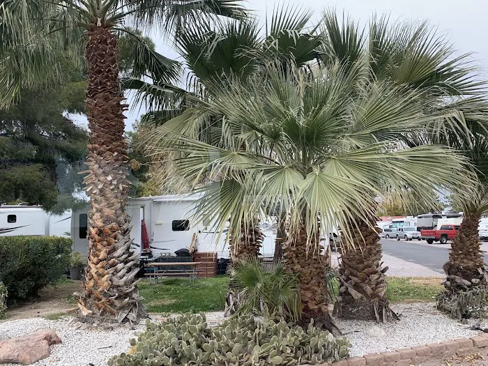 Thousand Trails Las Vegas Picture 7