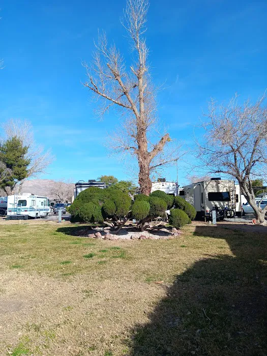 Thousand Trails Las Vegas Picture 9