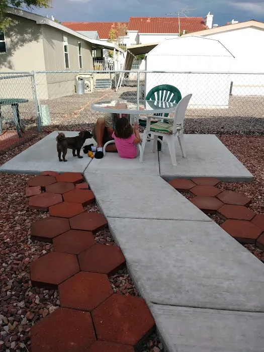 Casa Del Sol - A 55+ Community Picture 9