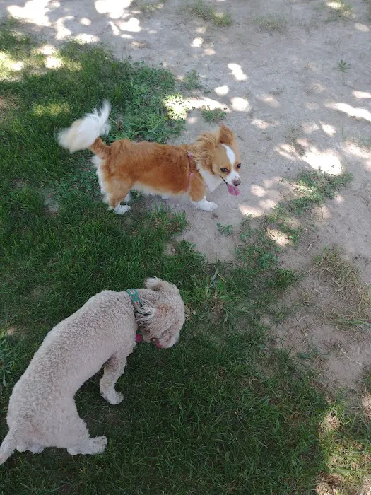 Shadow Mountain Picture 3