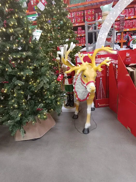 Maycliff Mini Storage & RV Park Las Vegas Picture 3