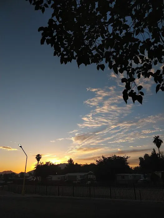 Miracle Mile Picture 8