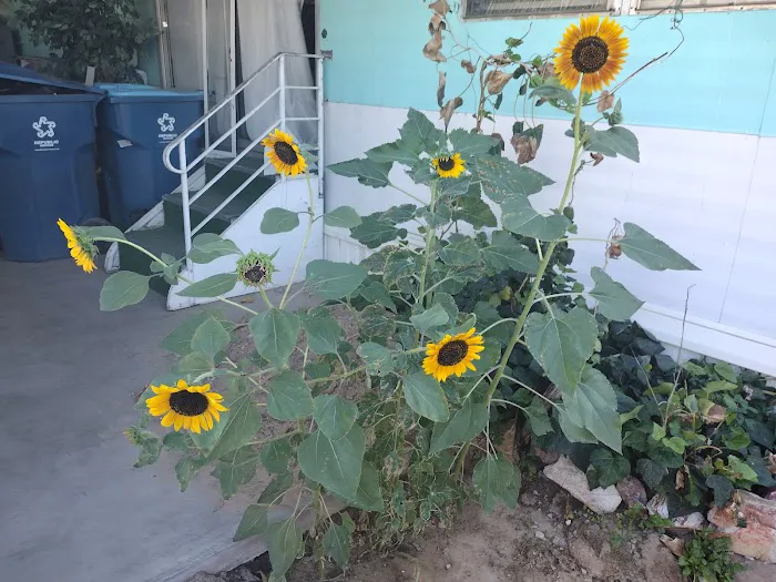 Miracle Mile Picture 7