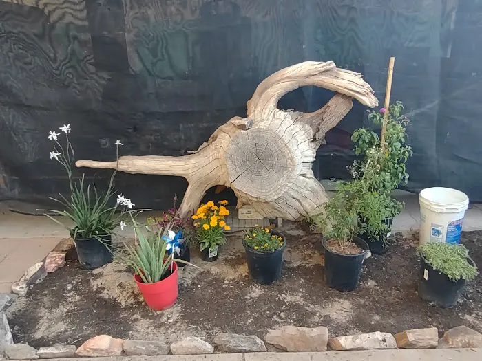 Miracle Mile Picture 6