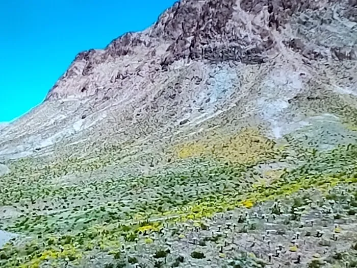 Maycliff Mobile Home Park Office Picture 6