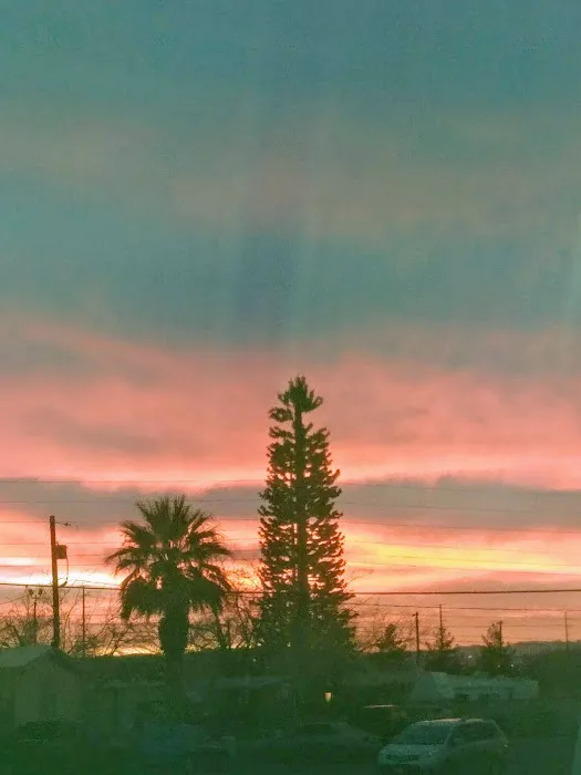 Price Ryan Trailer Park Picture 4