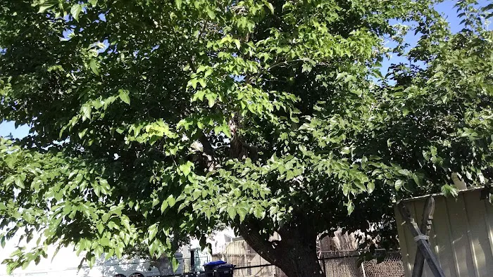 Price Ryan Trailer Park Picture 3