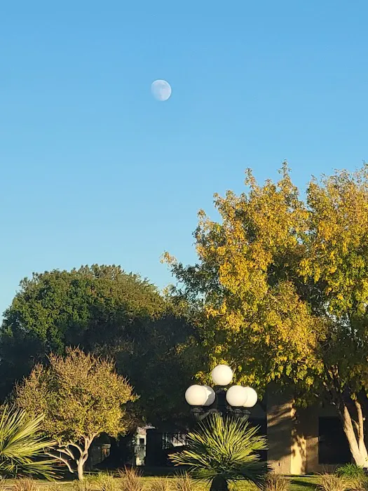 Mountain View - NV Picture 2