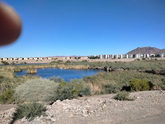 Mountain View - NV Picture 4