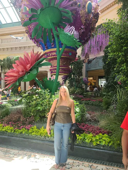 Sierra Vista Picture 8