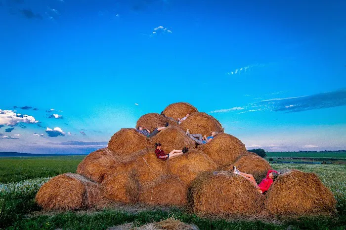 Palm Grove Mobile Home Community Picture 1