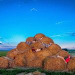 Palm Grove Mobile Home Community