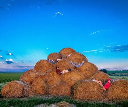 Palm Grove Mobile Home Community