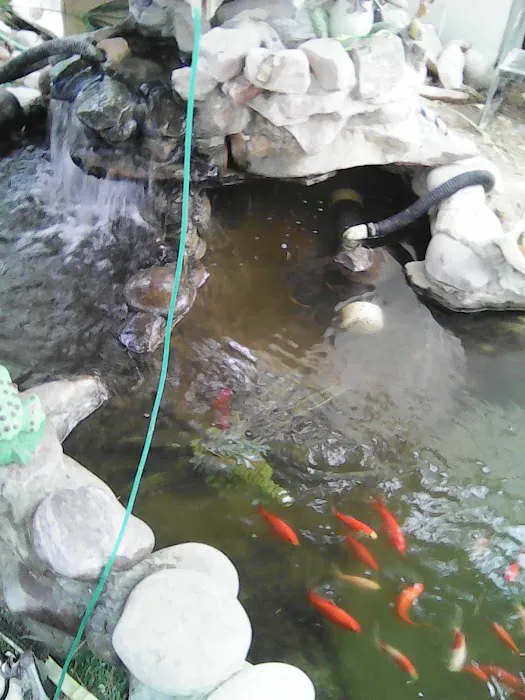 Whispering Sands Mobile Home Park Picture 6